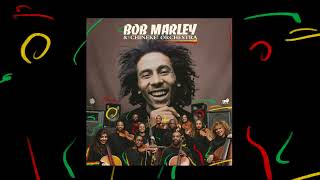 Satisfy My Soul – Bob Marley and The Chineke Orchestra Visualizer [upl. by Ecirehc531]