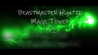 Beastmaster Hunter  Mage Tower  Dragonflight [upl. by Clem]