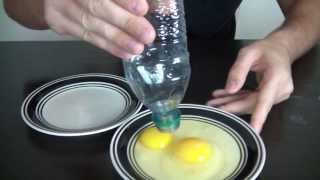 10 Amazing Science Experiments you can do with Eggs [upl. by Ahsyad]