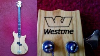 Westone Thunder 1A Bass [upl. by Estrin913]