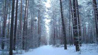 Yiruma  A Winter Story [upl. by Yedrahs389]