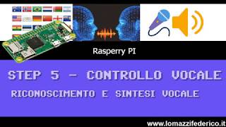 Un traduttore simultaneo multilingua con Raspberry PI [upl. by Wager549]