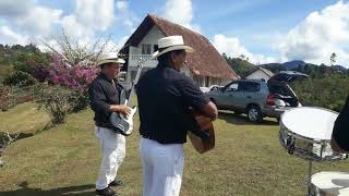 DARIO OSORIO  BAILANDO Y TOMANDO RON 310 502 07 85 [upl. by Yelssew]