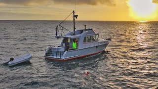 Cook Strait Channel Swim 35km 22 March 2024 [upl. by Keely]