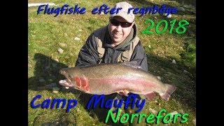 Flugfiske efter regnbåge i Norrefors 2018 Fly fishing for rainbow trout in Norrefors 2018 [upl. by Freda205]