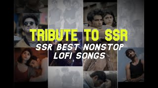 Tribute To SSR  Sushant Singh Rajput songs nonstop  Sushant Singh Rajput LoFI songs Evening Dude [upl. by Thurlough89]