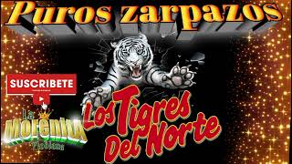 puros zarpazosLOS TIGRES DEL NORTE [upl. by Haggar6]