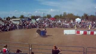 Ostrich Races in Chandler Az [upl. by Abita282]