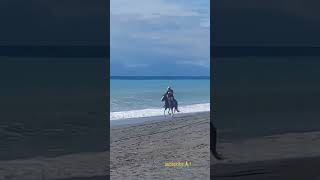 spagetti westernitaly calabria beach horse [upl. by Byrdie368]