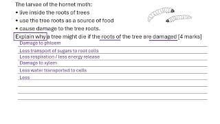 Damaged roots due to insects 6 mark question [upl. by Anahpos]