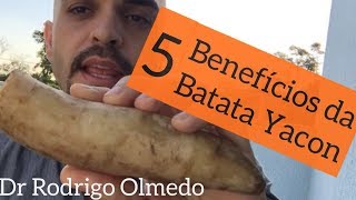 Conheça 5 benefícios da Batata Yacon [upl. by Leventis]