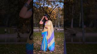 4 Elegant Poses in Saree  ethnic outfit  Minisha Pathak  my Clicks saree posing [upl. by Tilford682]