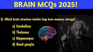 Brain Mcq 2025 🧠 Brain mcq challengeBiology mcq 2025Brain physiologyneeteducation brain [upl. by Aznarepse591]