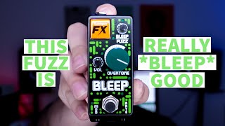 Fuzz for days Rainger FX Bleep Demo [upl. by Kcam749]