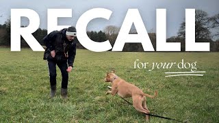 The Best Recall Dog Training Tips You Must Do [upl. by Rapsag]