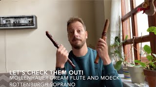 Mollenhauer Andris Dream flute 4119 and Moeck Rottenburgh 4205 soprano recorders SIDE BY SIDE [upl. by Chick]