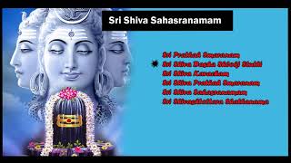 Sri Shiva Sahasranamam Sanskrit I KSSurekha amp Ajay Warrior [upl. by Lasser767]