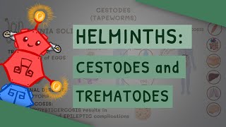 Helminths Cestodes and Trematodes transmission clinical importance and treatment [upl. by Larrie383]