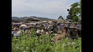 Ndanifor Permaculture Eco village Permaculture the African Way [upl. by Bliss210]