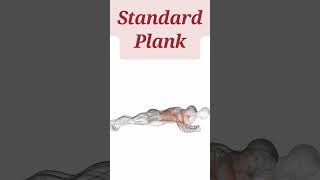 2 Plank Variations for a Strong Core  Quick Abs Workout [upl. by Colp]