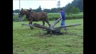 Belgian draft horses driving recreation show worklng pulling [upl. by Valonia653]