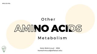 Other Amino Acid Metabolism  Hala Mahmoud  MOL 125 PAL review session [upl. by Hoseia]