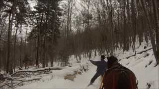 MON CHEVAL PACO Betisier ski joering balade et luge a cheval lol [upl. by Ffoeg]