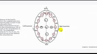 Understanding EEG Part 4 1020 electrode placement system used in electroencephalography EEG test [upl. by Enomed]