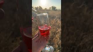 redberry juice turkey minivlog utubeshorts [upl. by Naawaj840]