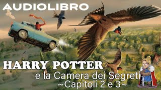 Harry Potter e la camera dei segreti  Lettura e Commento Cap 23  Audiolibro [upl. by Connell]