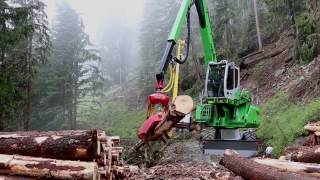 SENNEBOGEN 718 ESeries  Harvesting with Woody H61 Lau ForstserviceAustria [upl. by Neeneg320]