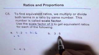 Scale Factor Equivalent Ratio Concept C5 [upl. by Leann]