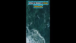 Why is Water a Polar Molecule [upl. by Jump]