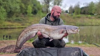 PB CATFISH 96 HOURS FISHING AT SHATTERFORD LAKES [upl. by Levison107]