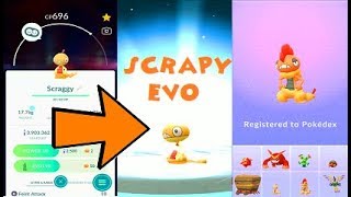 Pokemon Go Scraggy Evolution Into Scrafty [upl. by Llerdnek]