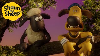 Shaun the Sheep 🐑 Shaun and Bitzer  Cartoons for Kids 🐑 Special Episodes Compilation 1 hour [upl. by Der]