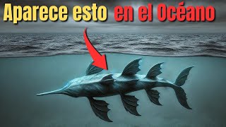 Los 10 Delfines Mas EXTRAÑOS Captados en Cámara [upl. by Ecerehs]