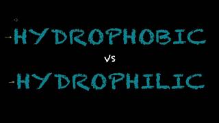 Hydrophobic vs Hydrophilic  Biology Tutorial [upl. by Cogen]