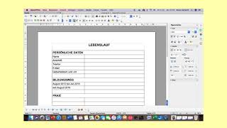 Lebenslauf mit OpenOffice [upl. by Friedly278]