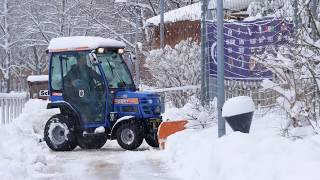 Schneegestöber in München Haidhausen 2019  Gymnasium Dr Florian Überreiter [upl. by Notle]