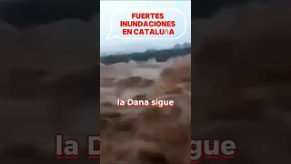 FUERTES INUNDACIONES DEJA EL PASO DE LA DANA POR CATALUÑA BARCELONA Y TARRAGONA MUY AFECTADOS [upl. by Lois473]