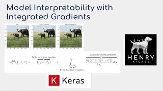 Model interpretability with Integrated Gradients  Keras Code Examples [upl. by Enhpad723]