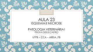 Aula 23 Isquemia e Necrose Pato 1 [upl. by Atirat70]