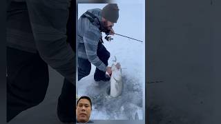 Ice fishing got big fish [upl. by Aital869]