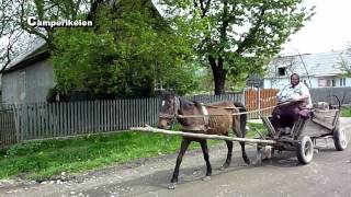 Paard en Wagen Roemenië [upl. by Marcelia]