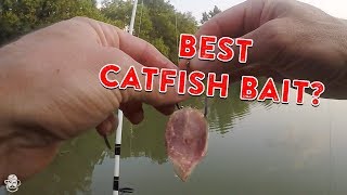 How To Catch Catfish From The Bank  Catfishing Bait Rigs amp Tips [upl. by Ettevroc]