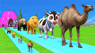 Paint amp Animals CowGorillaElephantGiraffeTigerLion Fountain Crossing Transformation Cartoon [upl. by Conchita]