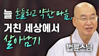 늘 흔들리고 약한 마음 거친 세상에서 살아남기│법륜스님 편🙏 명법문만 모았다 명중명💡 법륜스님 인생 즉문즉설 [upl. by Kcirdahs392]