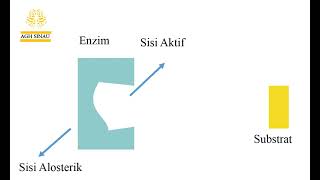 Teori Kecocokan yang Terinduksi Enzim Induced Fit Theory [upl. by Bevon]