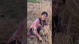 Rasta to mil gya hviral song [upl. by Chenay]